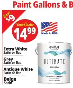 Ocean State Job Lot Paint Gallons offer