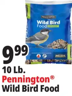Ocean State Job Lot Pennington Wild Bird Food 10 lbs offer