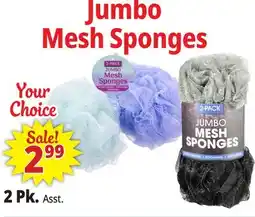 Ocean State Job Lot Jumbo Mesh Sponges 2 Count offer