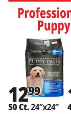 Ocean State Job Lot 24x24 Puppy Pads with Odor Eliminators 50 Count offer