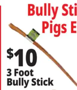 Ocean State Job Lot 3 Foot Bully Stick offer