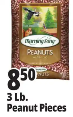 Ocean State Job Lot Morning Song Wildlife Food Peanuts 3 lbs offer