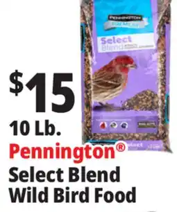 Ocean State Job Lot Pennington Premium Select Blend Bird Seed 10 lb offer
