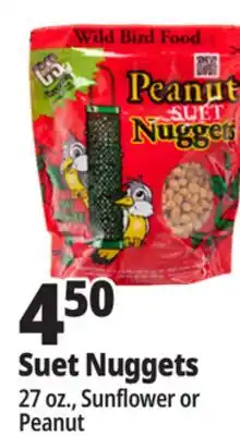 Ocean State Job Lot C&S Sunflower Suet Nuggets 27 oz offer
