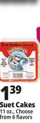 Ocean State Job Lot Bird Feeder's Choice High Energy Suet 11 oz offer