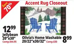 Ocean State Job Lot Accent Rug Closeout offer