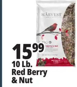 Ocean State Job Lot Harvest Seed & Supply Red Berry & Nut Wild Bird Food 10 lb offer