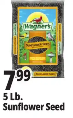 Ocean State Job Lot Wagner's Black Oil Sunflower Seed Wild Bird Food 5 lbs offer
