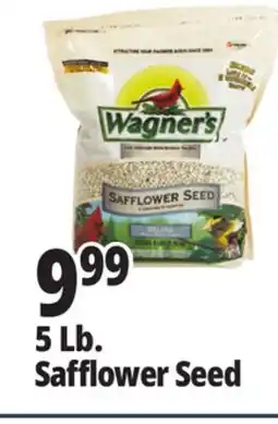 Ocean State Job Lot Wagner's Safflower Seed Deluxe Wild Bird Food offer