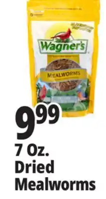 Ocean State Job Lot Wagner's Bird Meal Worms 7oz offer