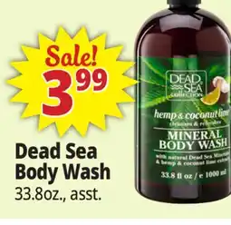 Ocean State Job Lot Dead Sea Body Wash offer