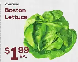 DeCicco & Sons Boston Lettuce offer