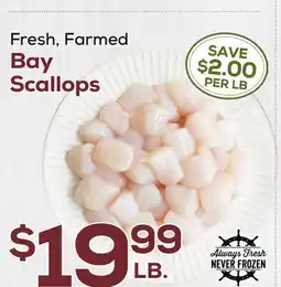 DeCicco & Sons Bay Scallops offer