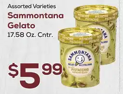 DeCicco & Sons Sammontana Gelato offer