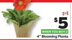 Weis Markets 4 Blooming Plants offer