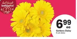 ACME Gerbera Daisy offer
