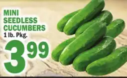 Bravo Supermarkets MINI SEEDLESS CUCUMBERS offer