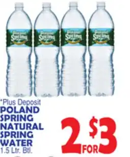 Bravo Supermarkets POLAND SPRING NATURAL SPRING WATER offer