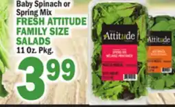 Bravo Supermarkets FRESH ATTITUDE FAMILY SIZE SALADS offer