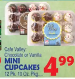 Bravo Supermarkets MINI CUPCAKES offer