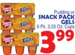 Bravo Supermarkets SNACK PACK GELS offer