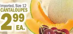 Bravo Supermarkets CANTALOUPES offer