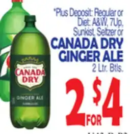 Bravo Supermarkets CANADA DRY GINGER ALE offer
