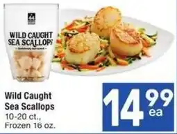 Albertsons Wild Caught Sea Scallops offer
