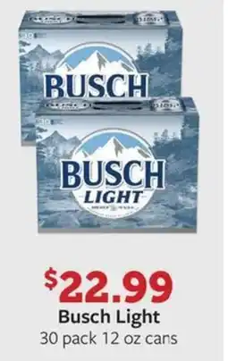 Fareway Busch Light offer