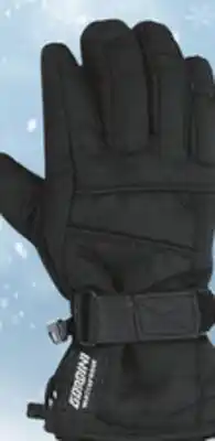 Big 5 Gordini Jr. Ultra Dri-Max Snow Gloves offer