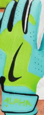 Big 5 Nike Alpha 2.0 Youth Batting Gloves offer