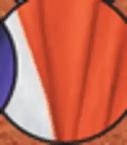 Big 5 Soffe Adult Baseball & Softball Shirt offer