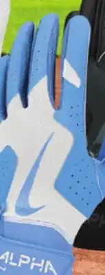 Big 5 Nike Alpha 2.0 Adult Batting Gloves offer