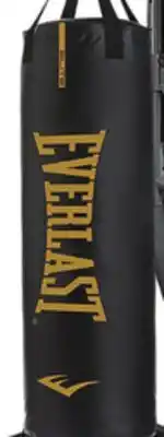 Big 5 Everlast 100 lb. Elite Nevatear Heavy Bag offer