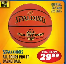 Big 5 Spalding All Court Pro TF Basketball offer