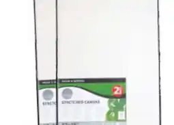 Ollie's 3D STRETCHED CANVAS offer