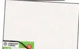 Ollie's 24 X 36 3D STRETCHED CANVAS offer