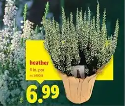 Lidl Heather offer