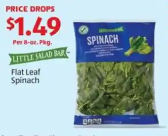 Flat Leaf Spinach