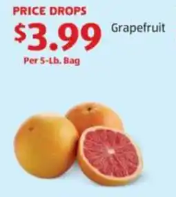 Aldi Grapefruit offer