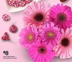 Target Good Little Garden fresh gerbera bouquet offer