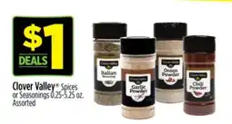 Dollar General Clover Valley Spices or Seasonings offer