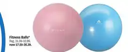 Meijer Fitness Balls offer