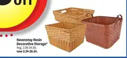 Meijer Havenstay Resin Decorative Storage offer