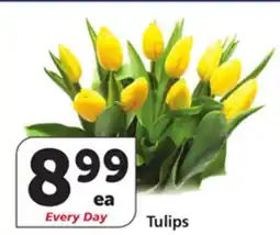 Albertsons Tulips offer