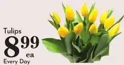 Pavilions Tulips offer