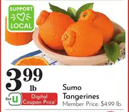 Pavilions Sumo Tangerines offer