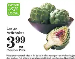 Pavilions Large Artichokes offer