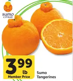 Vons Sumo Tangerines offer