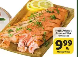 Vons Fresh Atlantic Salmon Fillet offer